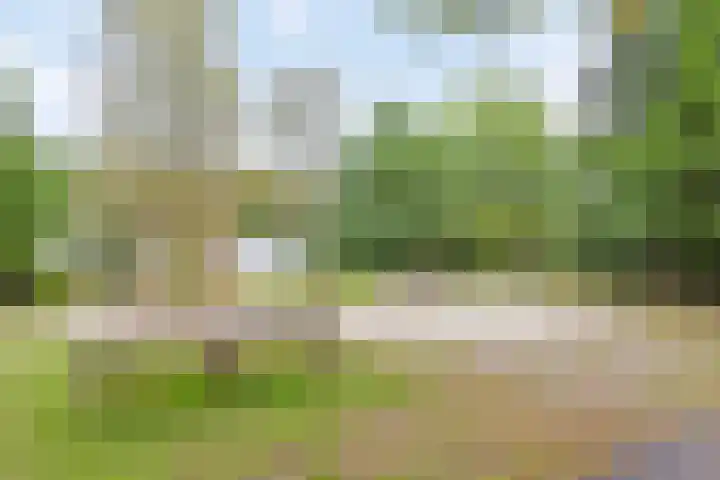Centrumweg 5 17 Epe thumbnail 16