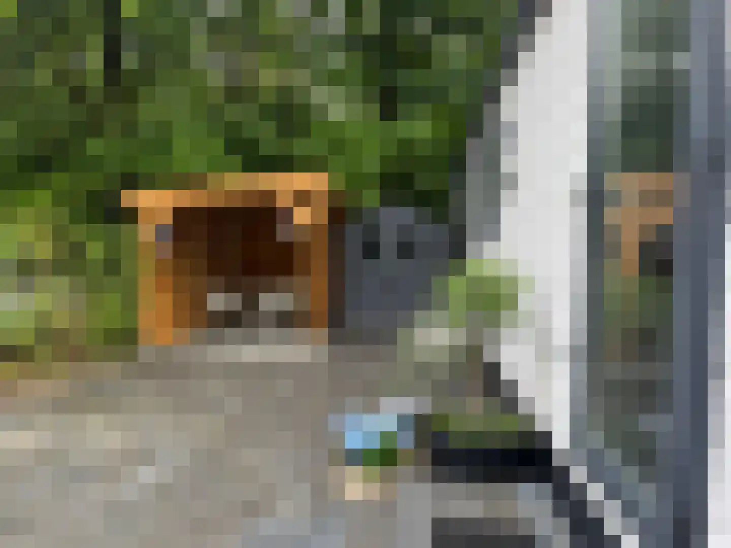 Centrumweg 5 29 Epe thumbnail 15