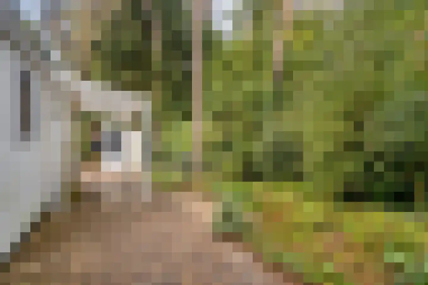 Centrumweg 5 347 Epe thumbnail 19