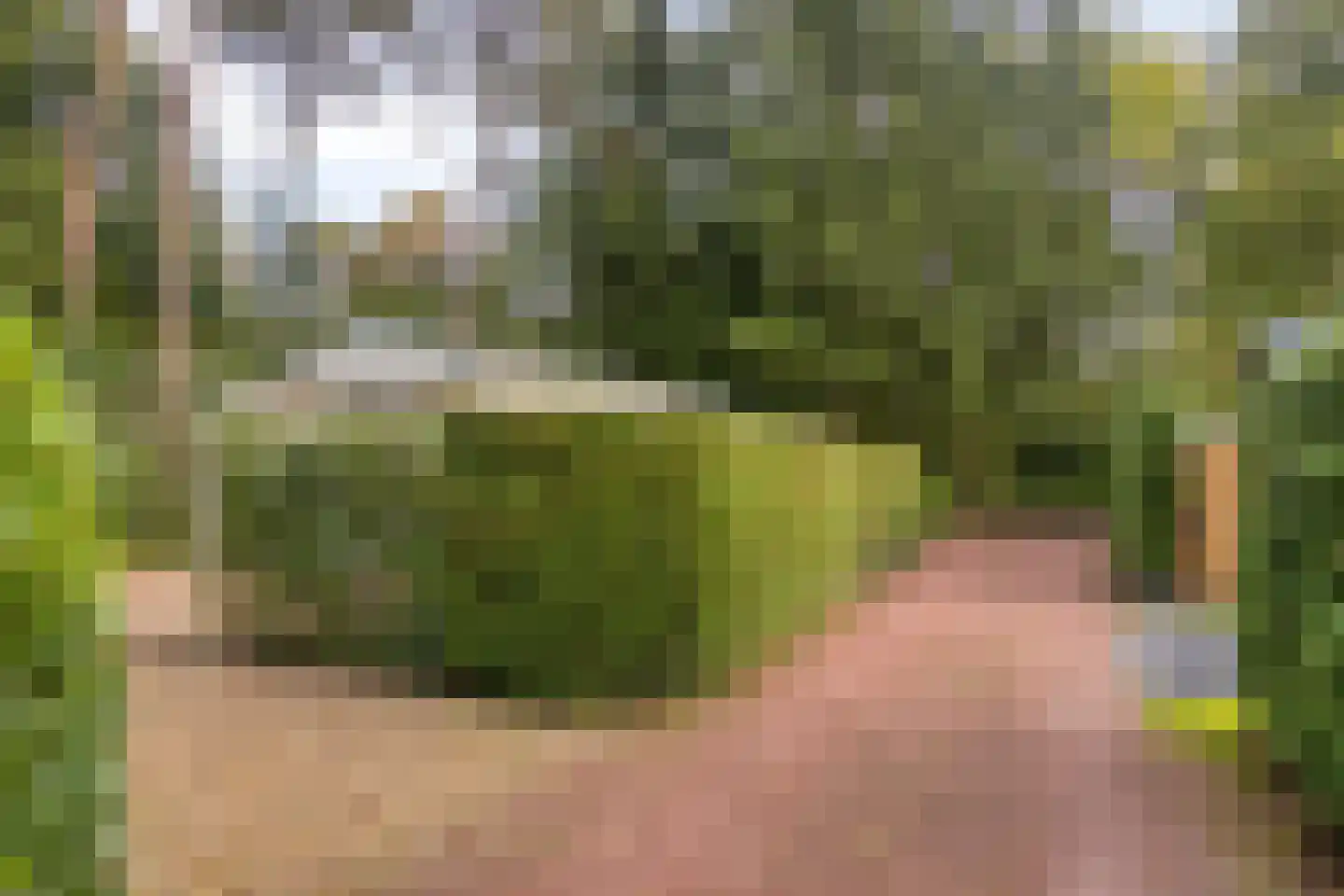 Centrumweg 5 347 Epe thumbnail 22