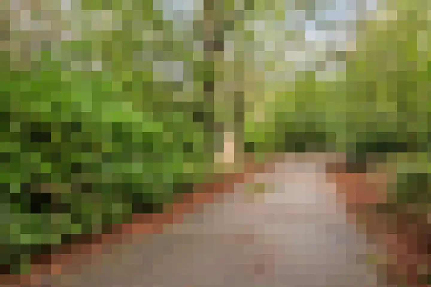Centrumweg 5 45 Epe thumbnail 7
