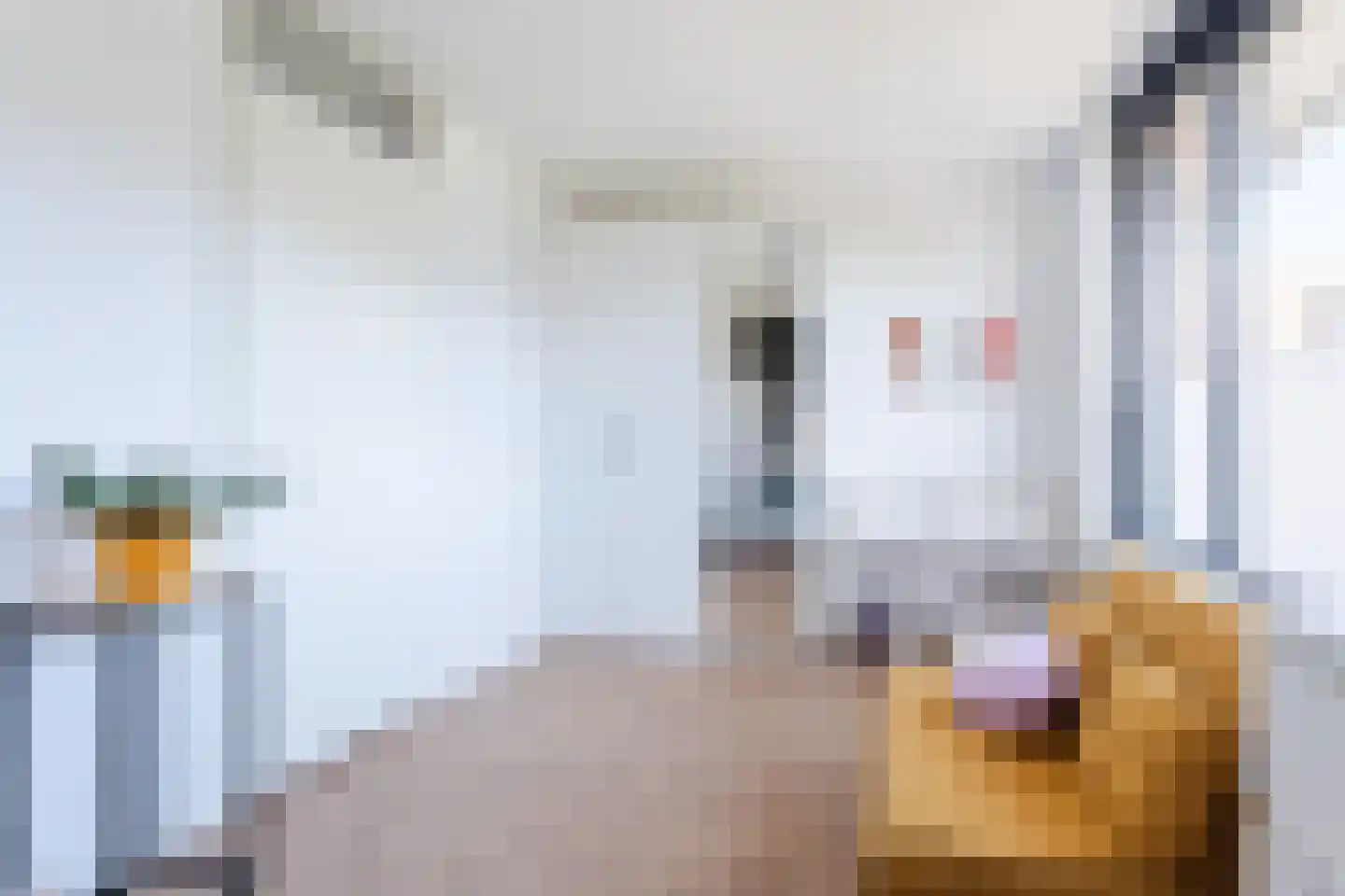 Centurio 15 Noordwijkerhout thumbnail 19
