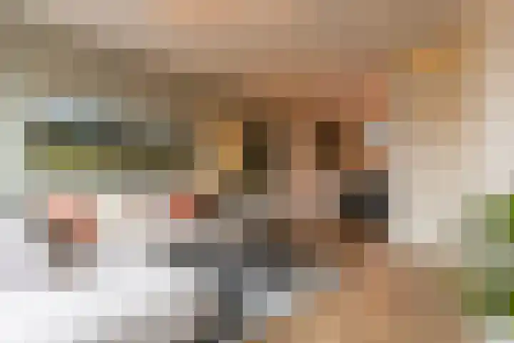 Centuriostraat 10 Huissen thumbnail 10