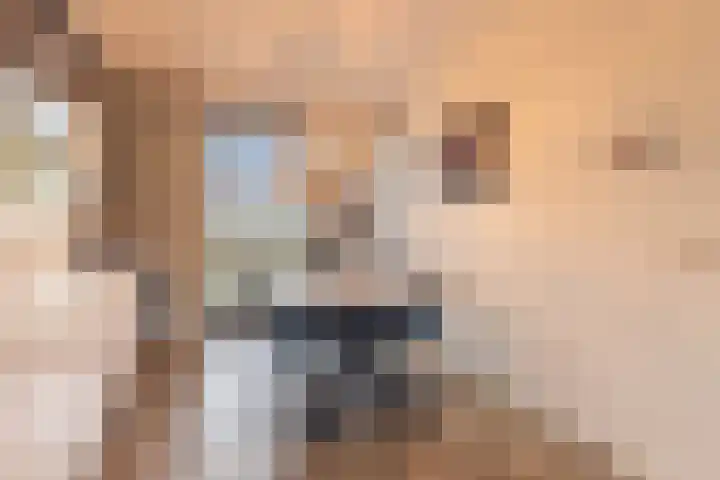 Centuriostraat 10 Huissen thumbnail 12