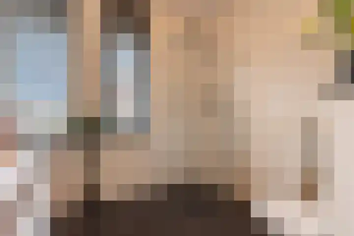 Centuriostraat 10 Huissen thumbnail 19