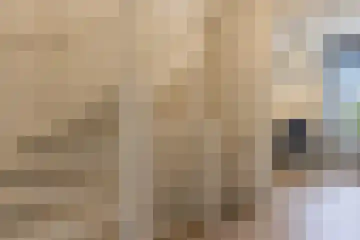 Centuriostraat 10 Huissen thumbnail 22