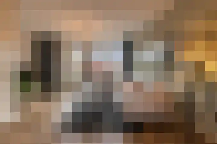 Centuriostraat 10 Huissen thumbnail 6