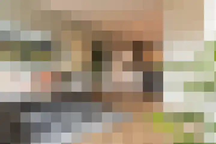 Centuriostraat 10 Huissen thumbnail 9
