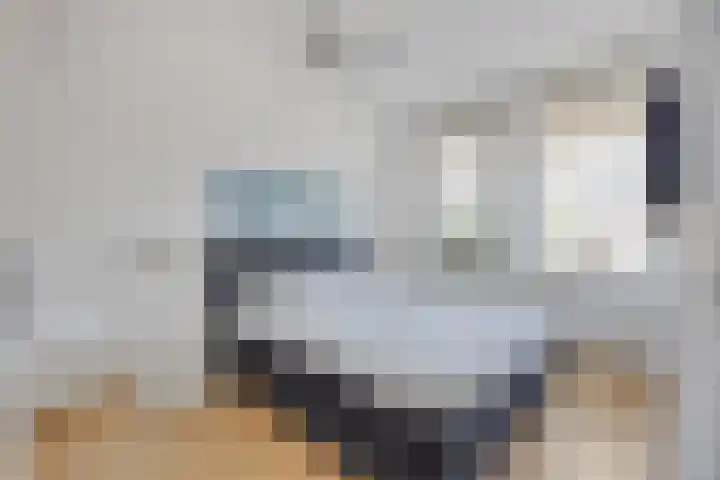 Centuriostraat 18 Huissen thumbnail 18