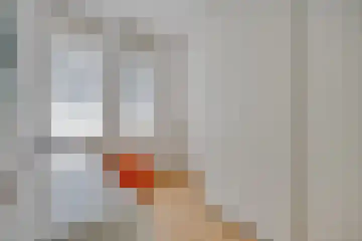 Centuriostraat 18 Huissen thumbnail 25