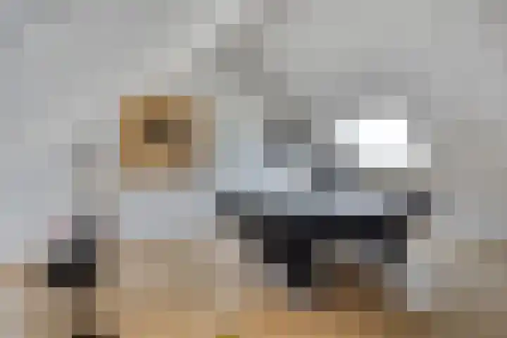 Centuriostraat 18 Huissen thumbnail 26