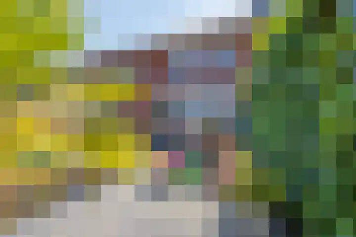 Centuriostraat 18 Huissen thumbnail 31