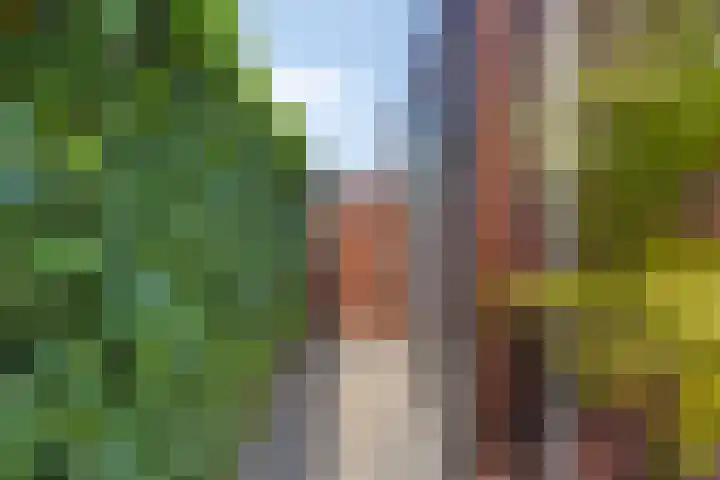 Centuriostraat 18 Huissen thumbnail 34