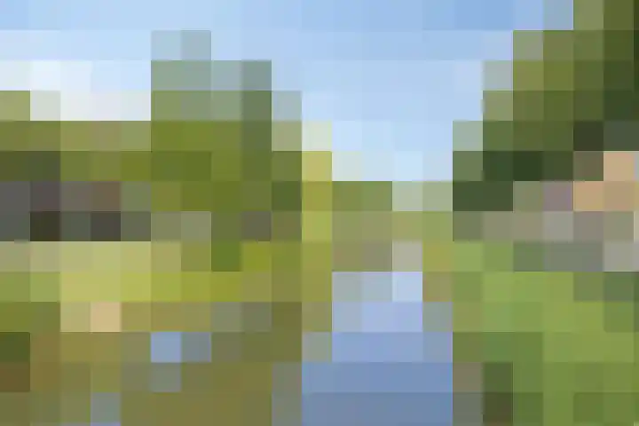 Centuriostraat 18 Huissen thumbnail 35