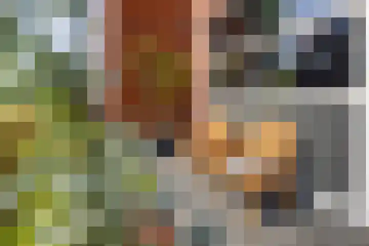 Centuriostraat 18 Huissen thumbnail 4