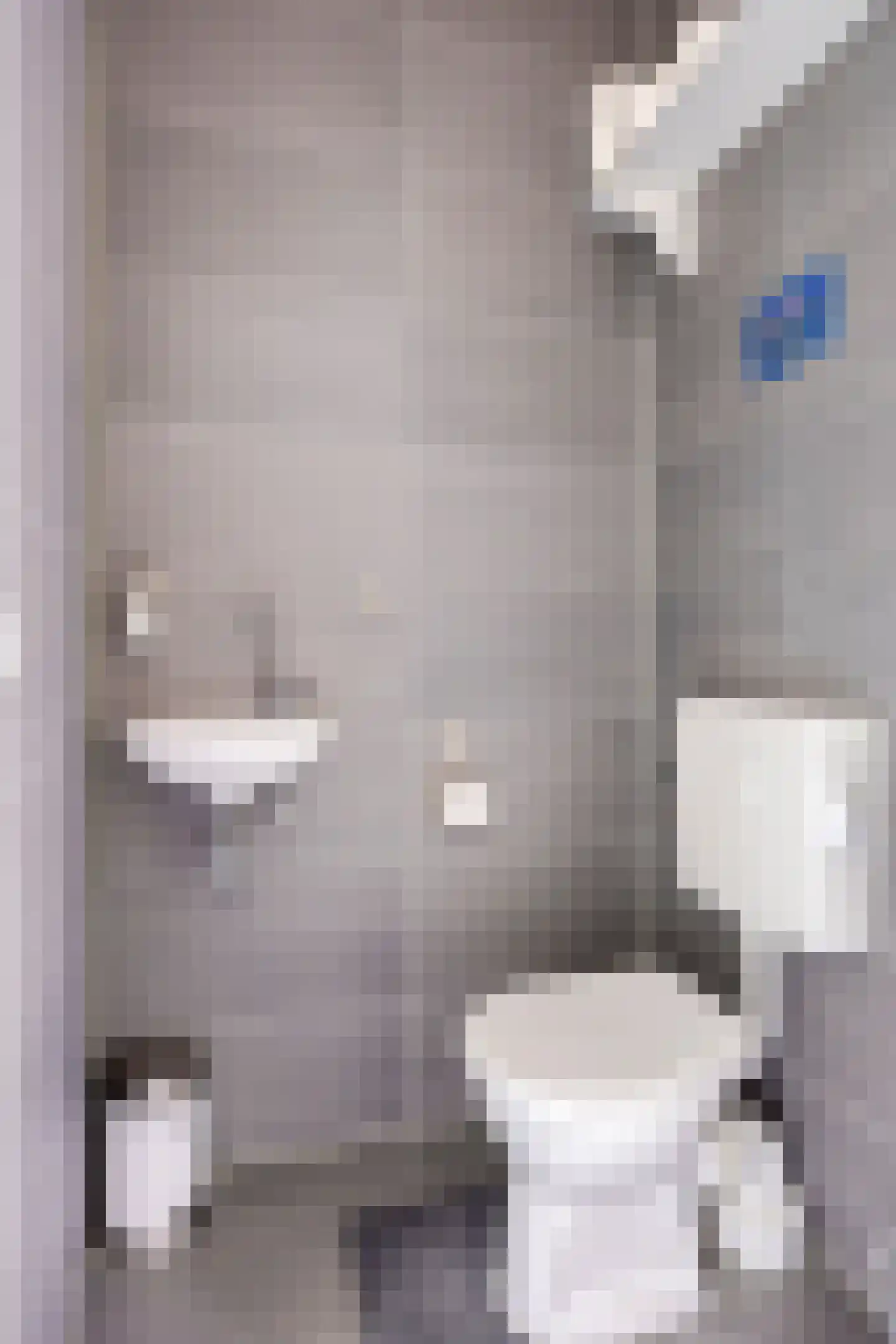 Centuriostraat 2 Huissen thumbnail 11