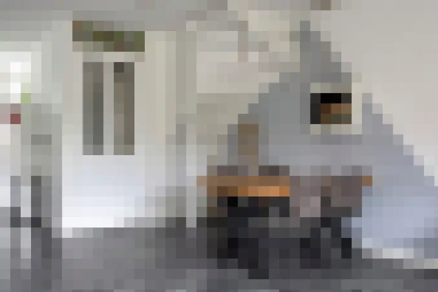 Centuriostraat 2 Huissen thumbnail 17