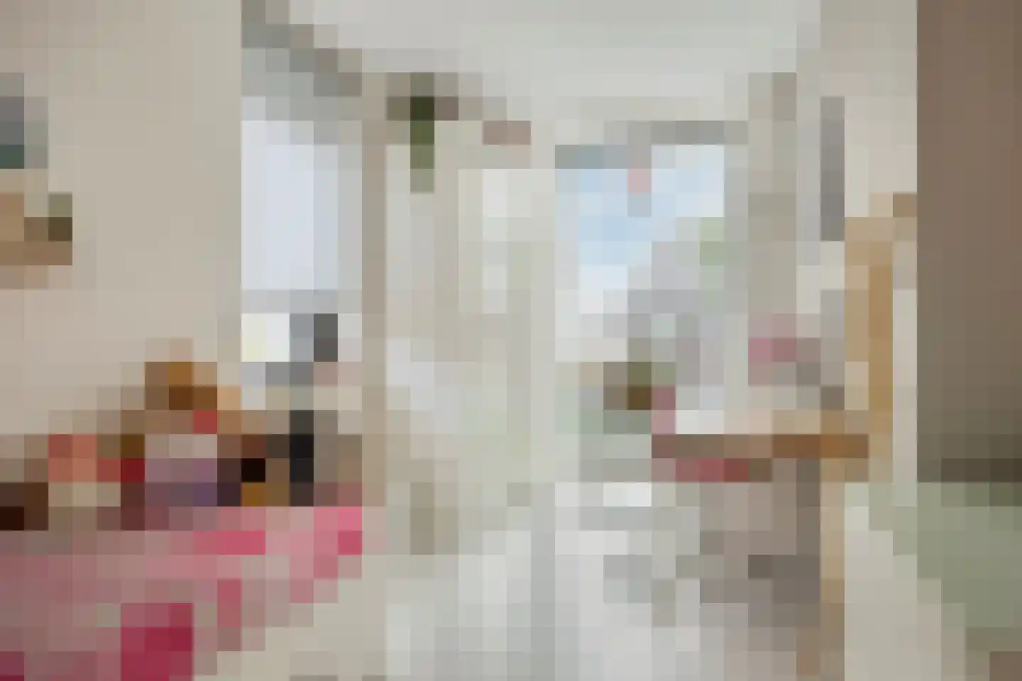 Centuriostraat 2 Huissen thumbnail 24
