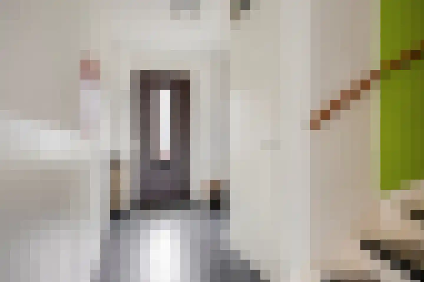 Centuriostraat 2 Huissen thumbnail 8