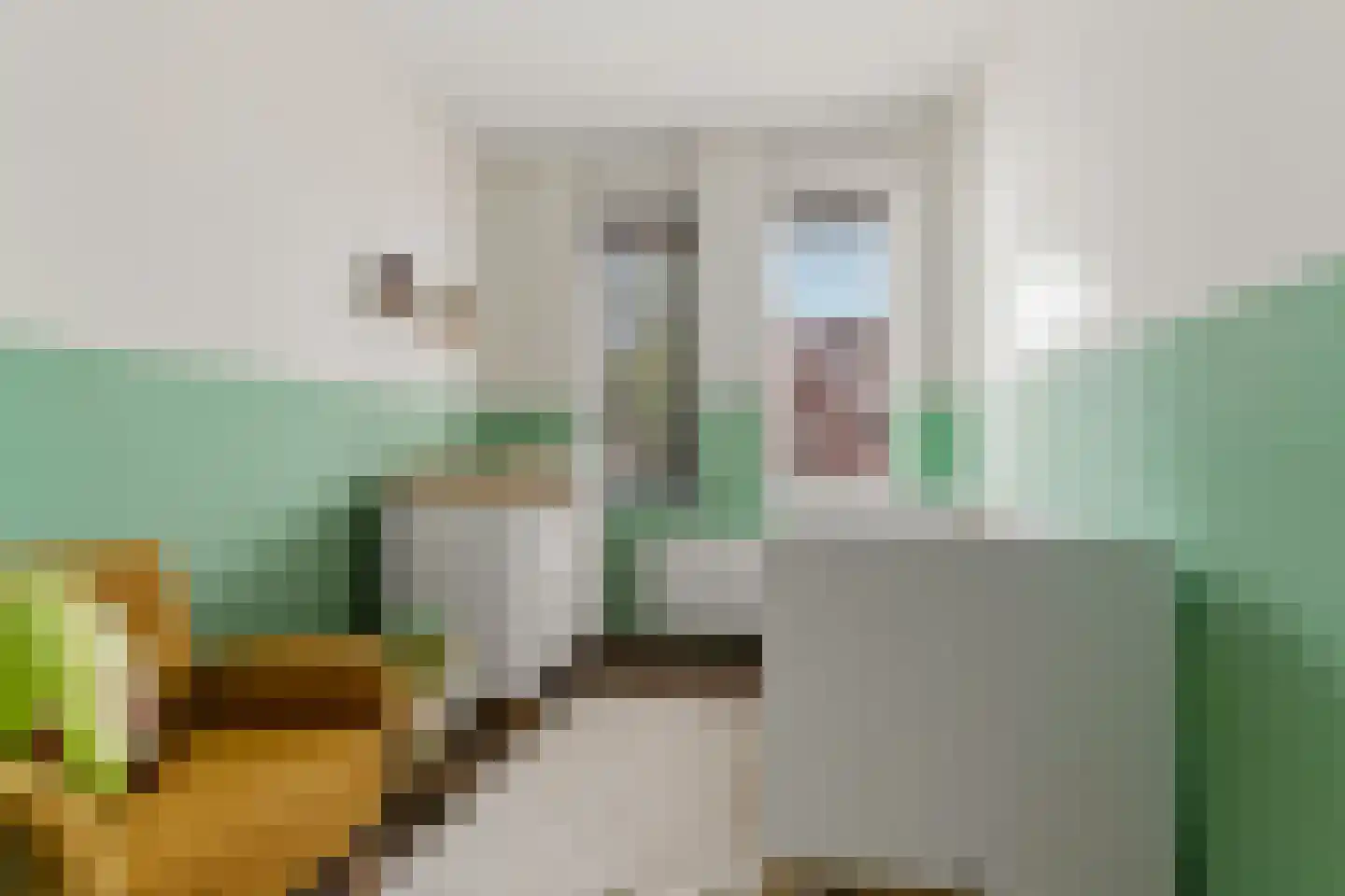 Centuriostraat 4 Huissen thumbnail 14