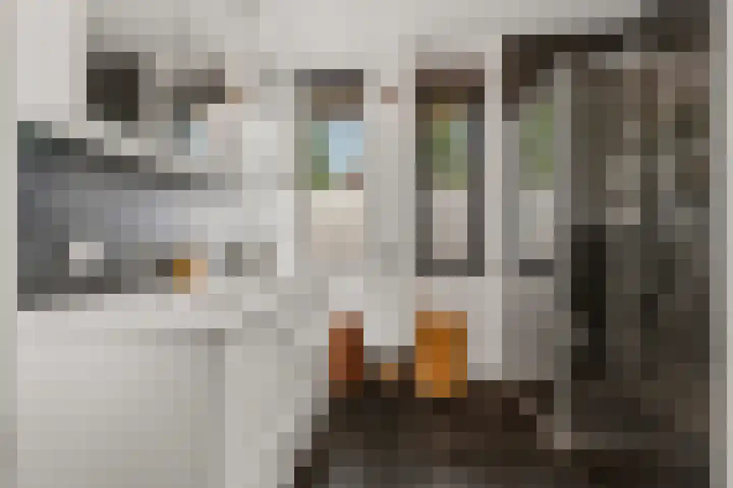 Centuriostraat 4 Huissen thumbnail 18