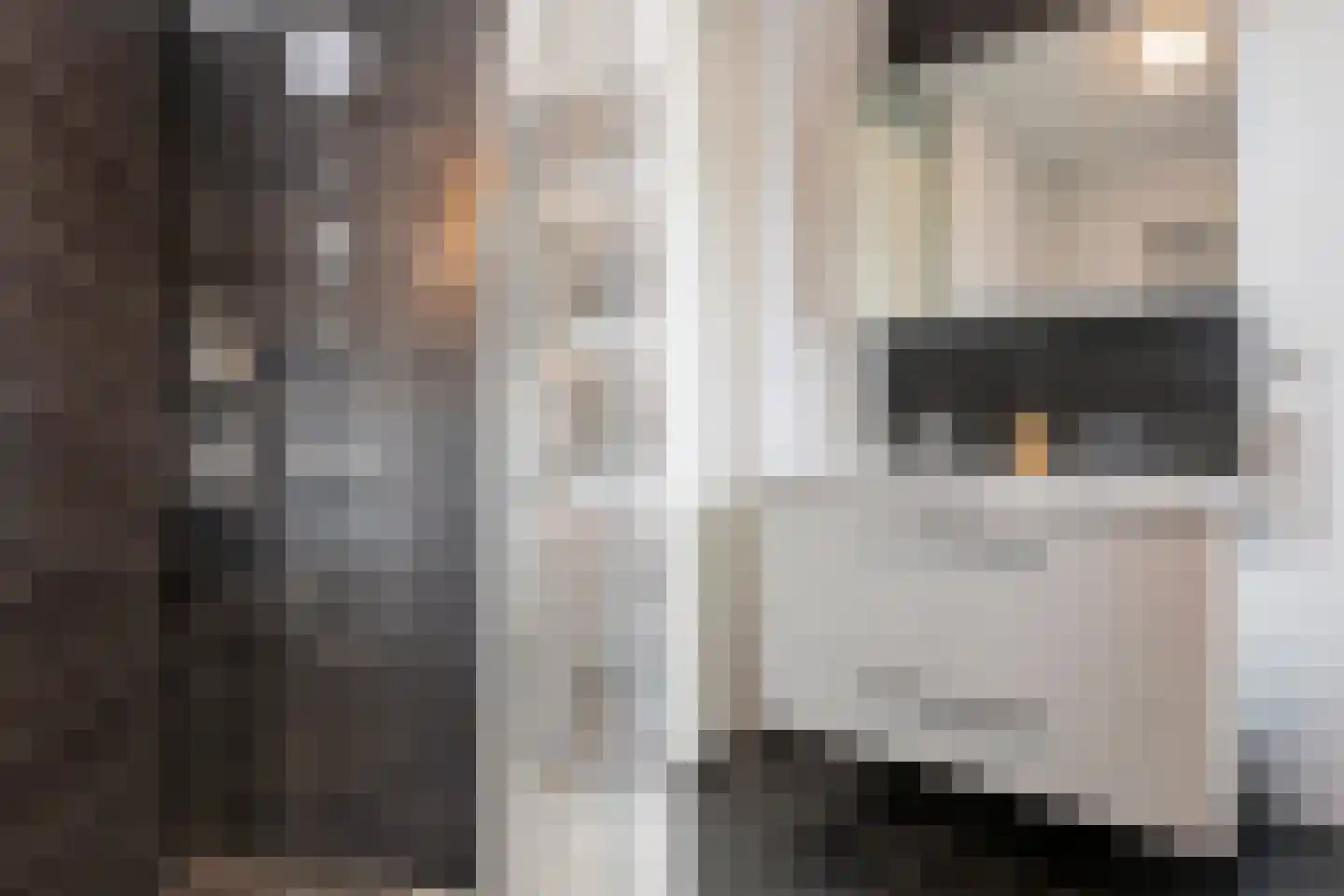 Centuriostraat 4 Huissen thumbnail 20