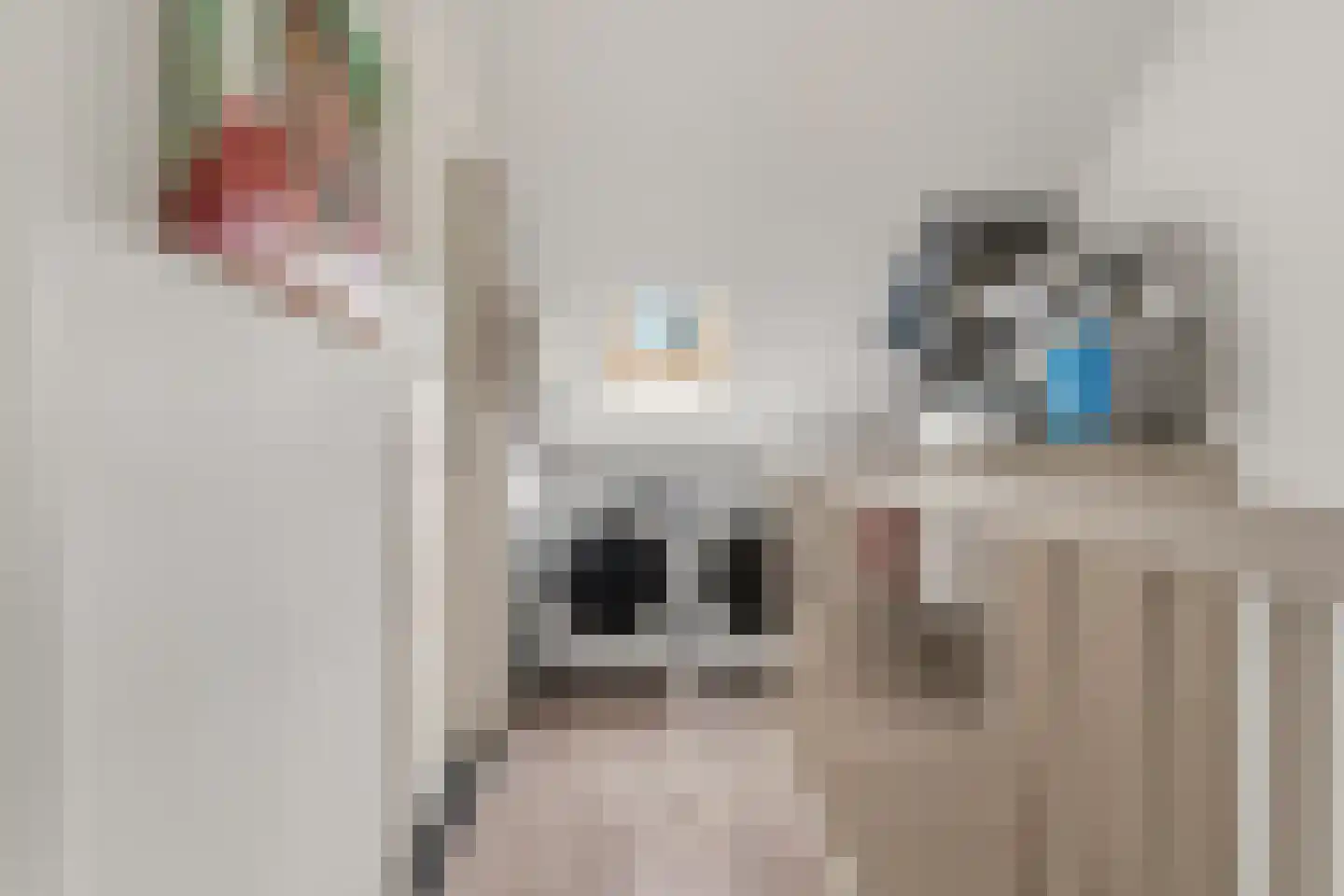 Centuriostraat 4 Huissen thumbnail 28