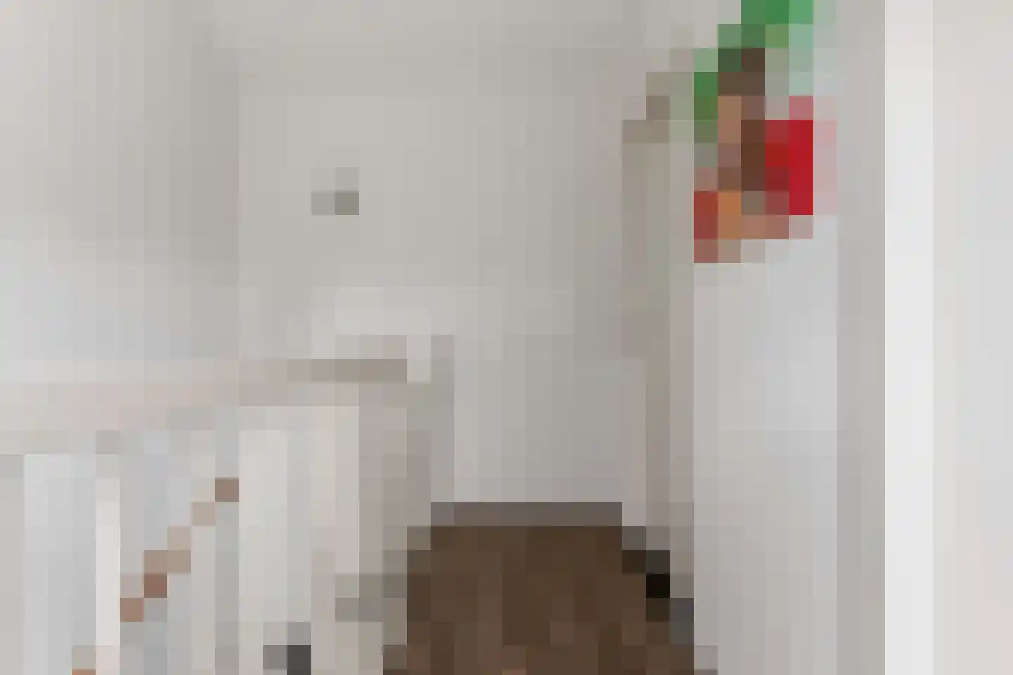 Centuriostraat 4 Huissen thumbnail 29