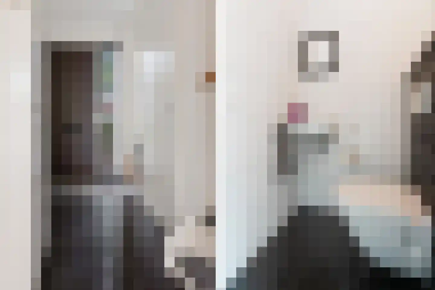 Centuriostraat 4 Huissen thumbnail 8