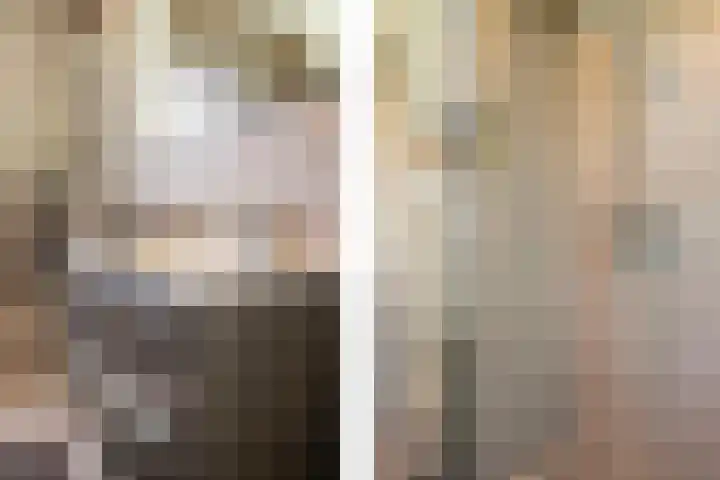 Centuriostraat 7 Huissen thumbnail 19