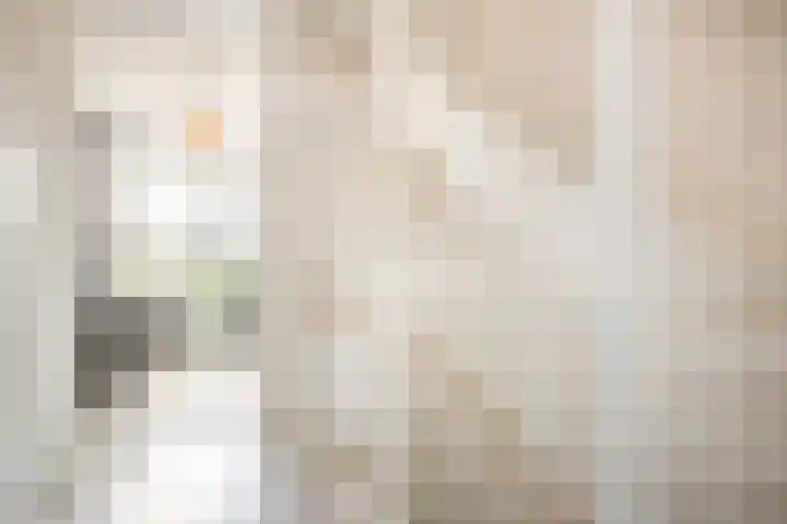 Centuriostraat 7 Huissen thumbnail 20