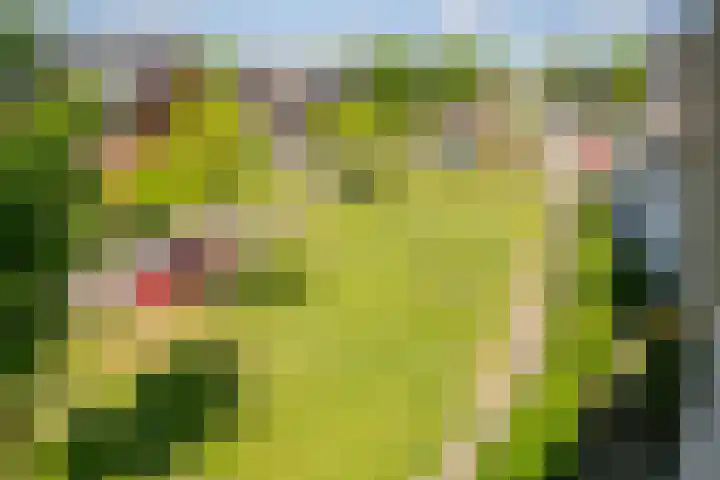 Centuriostraat 7 Huissen thumbnail 23