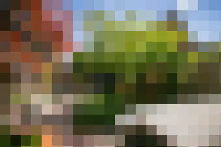 Centuriostraat 7 Huissen thumbnail 31