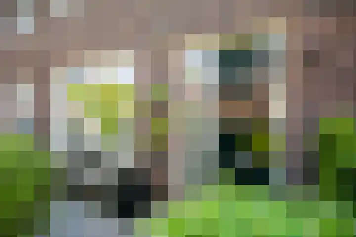 Centuriostraat 7 Huissen thumbnail 34