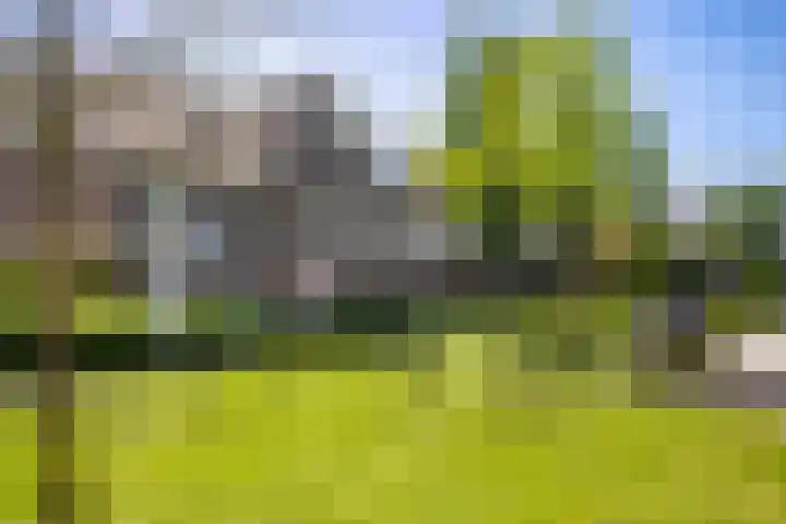 Centuriostraat 7 Huissen thumbnail 35