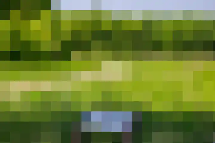 Centuriostraat 7 Huissen thumbnail 38