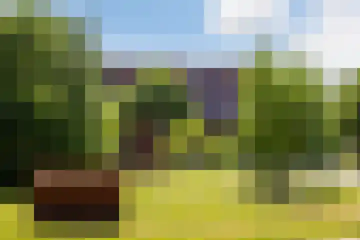 Centuriostraat 7 Huissen thumbnail 39