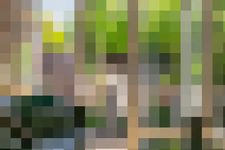 Centuriostraat 7 Huissen thumbnail 7