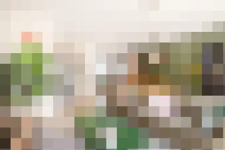 Centuriostraat 7 Huissen thumbnail 8