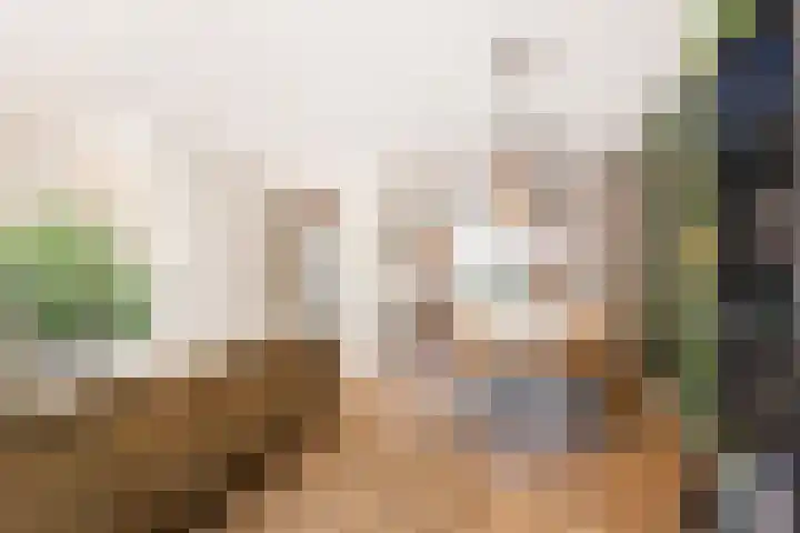 Centuriostraat 7 Huissen thumbnail 9