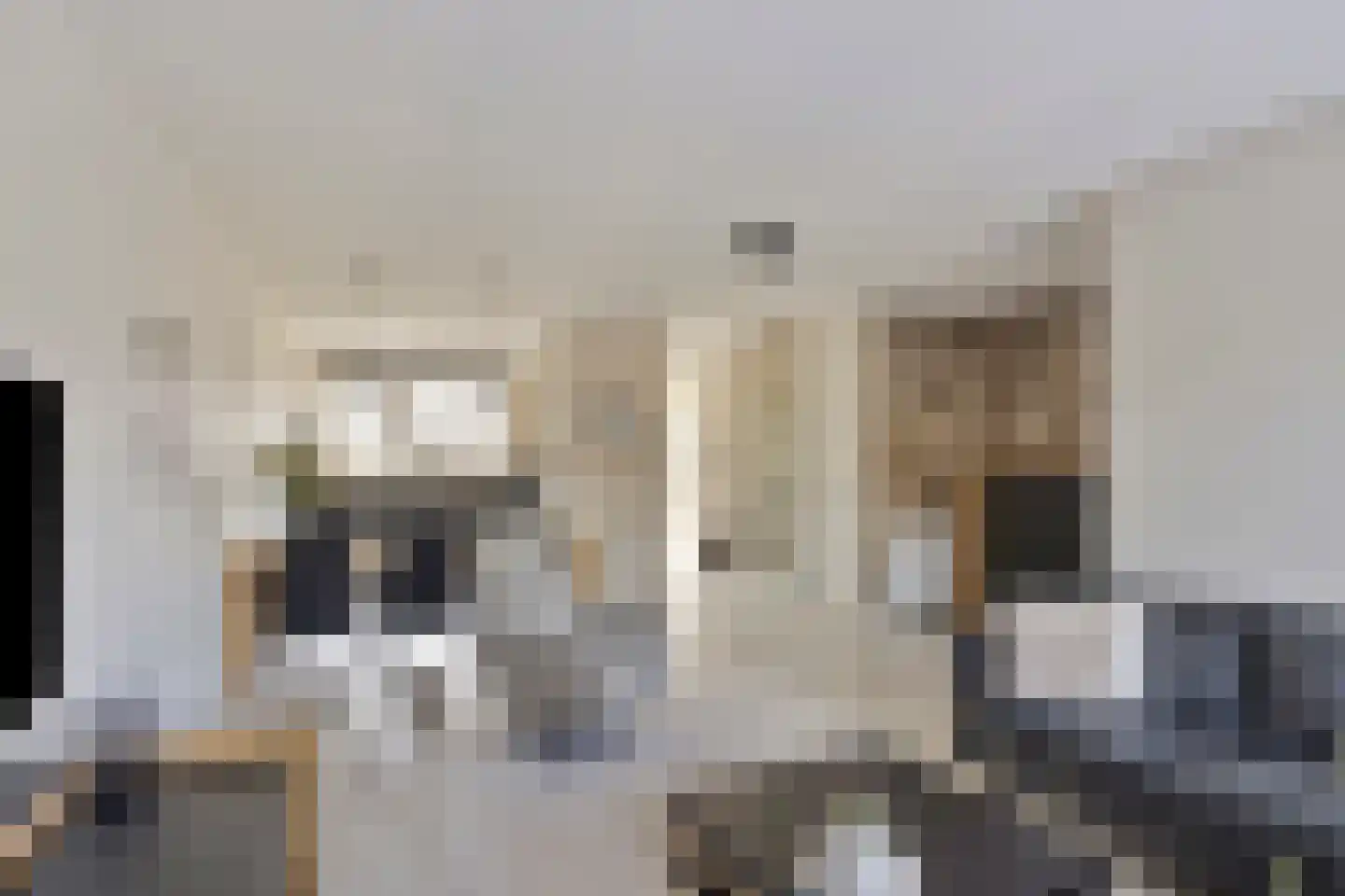 Ceram 107 Barneveld thumbnail 10