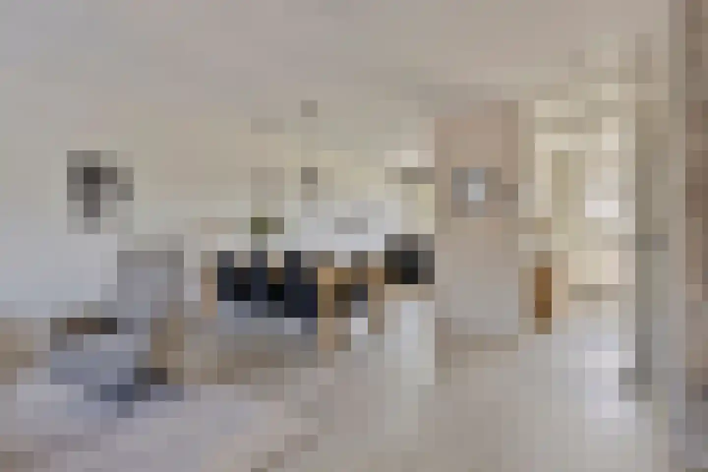 Ceram 107 Barneveld thumbnail 11