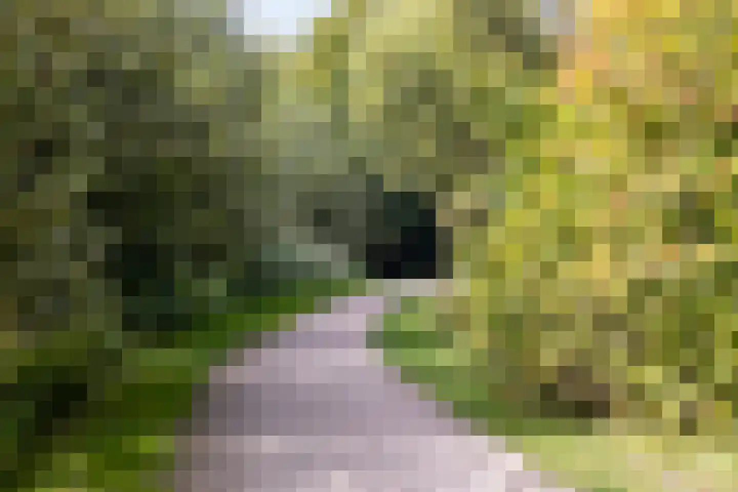 Ceram 107 Barneveld thumbnail 36