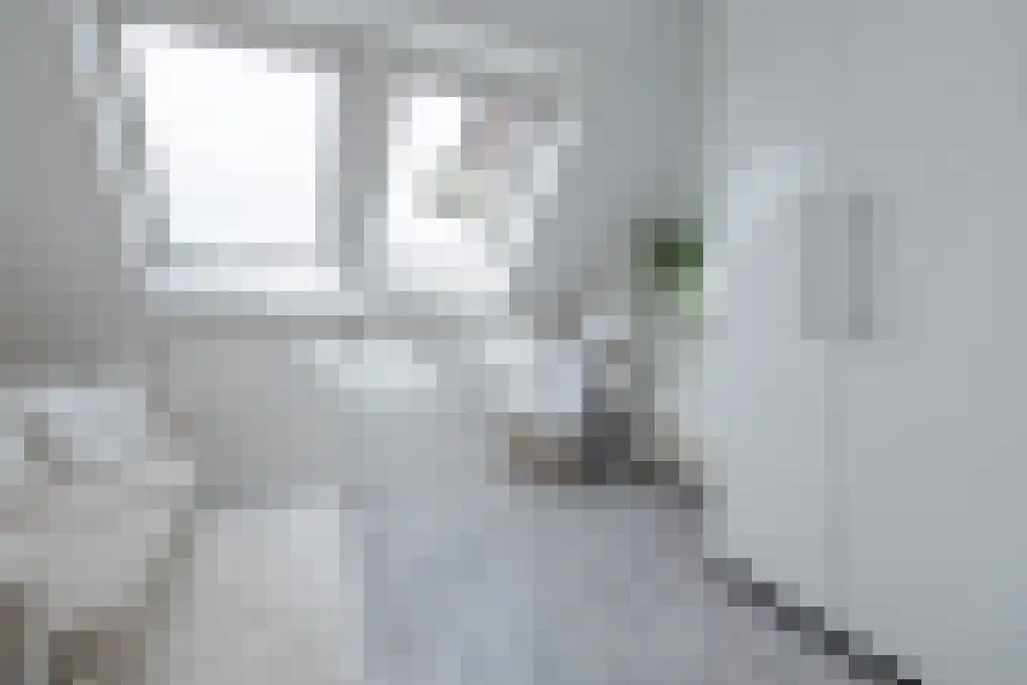 Ceram 25 Barneveld thumbnail 33