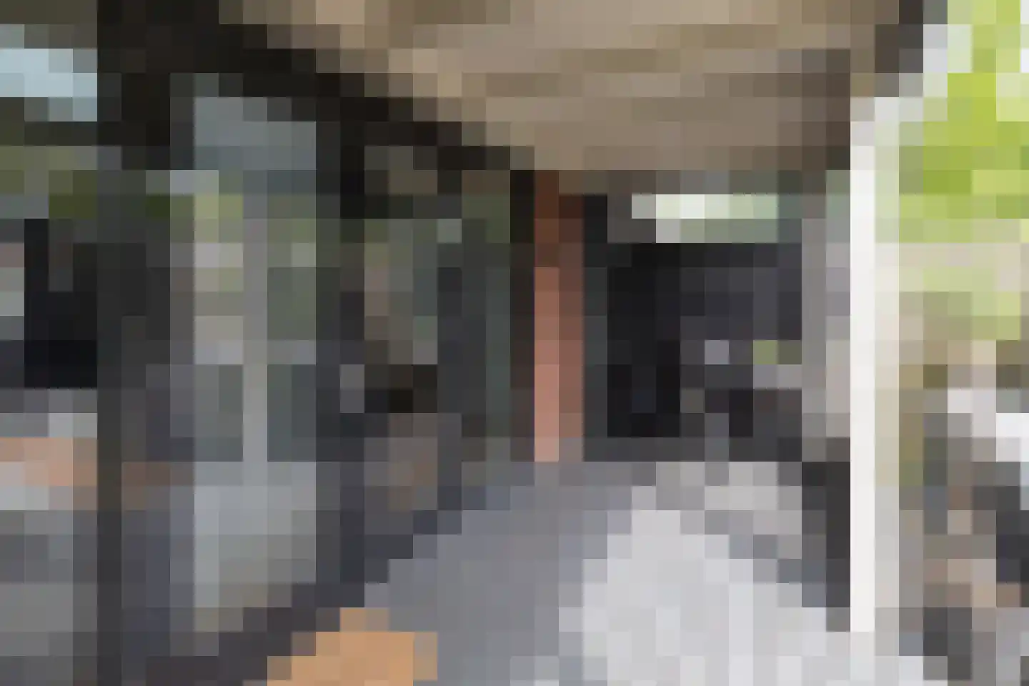 Ceram 25 Barneveld thumbnail 39