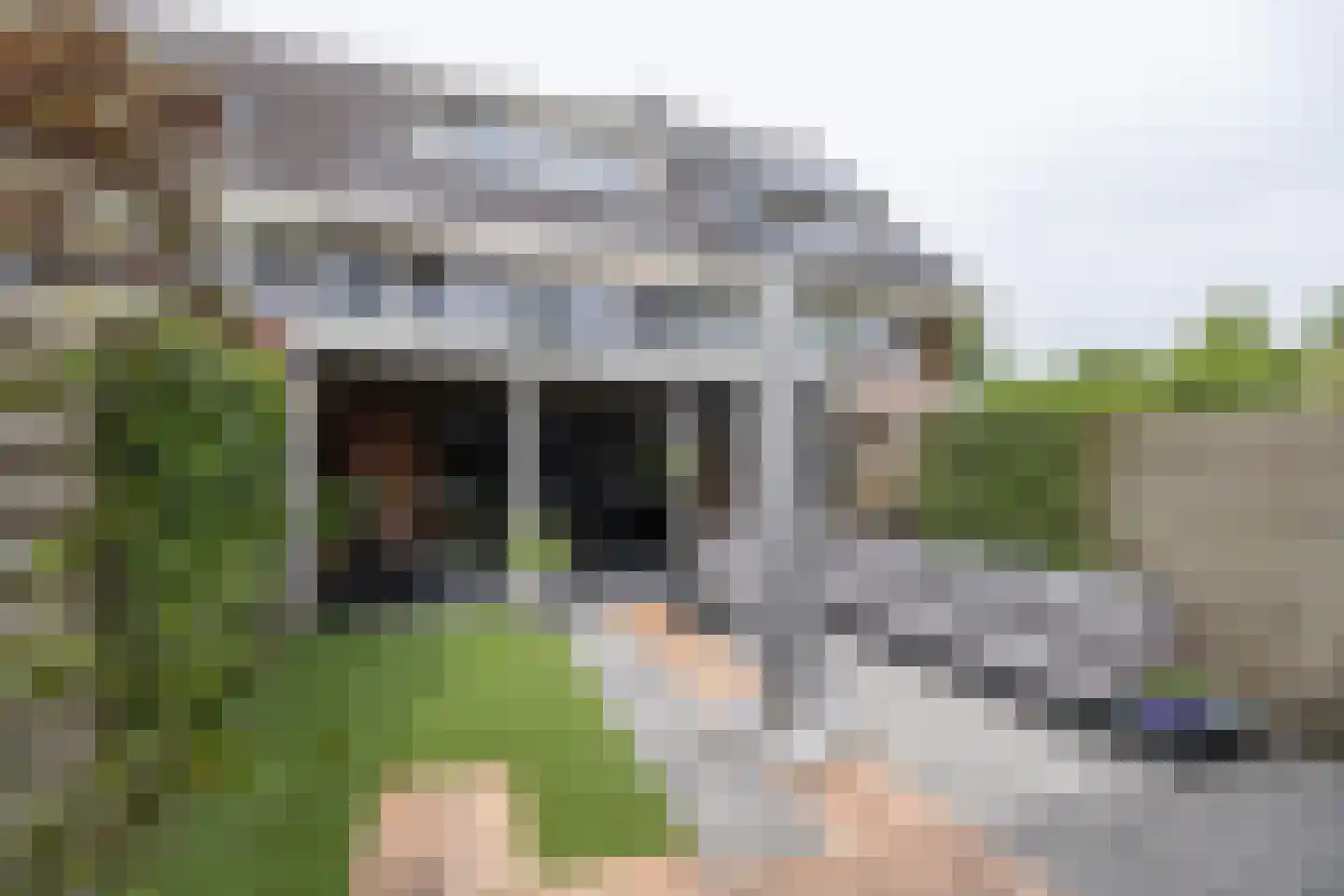 Ceram 25 Barneveld thumbnail 42
