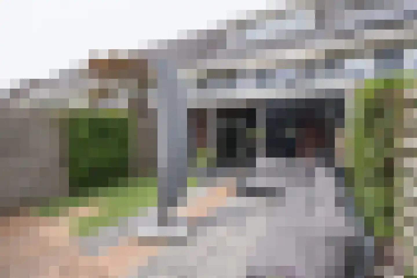 Ceram 25 Barneveld thumbnail 45