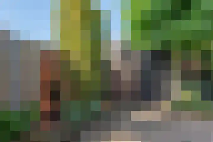 Ceram 39 Barneveld thumbnail 38