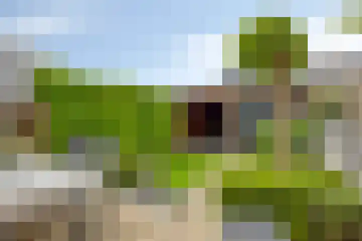Ceram 95 Barneveld thumbnail 28