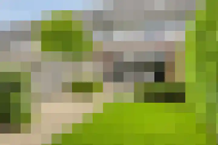 Ceram 95 Barneveld thumbnail 30